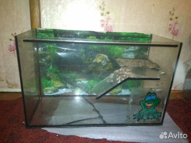 Черепаха с большим аквариумом купить на Зозу.ру - фотография № 3