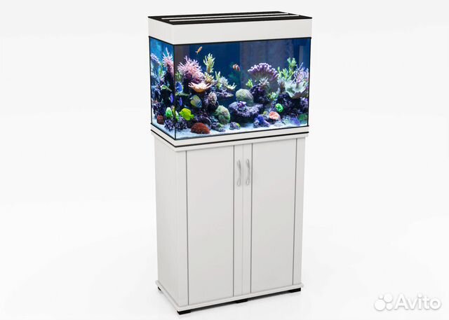 Аквариум доставка
