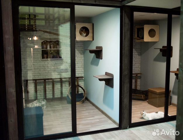 Зоогостиница для кошек/кошачий отель