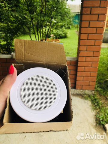 Громкоговоритель потолочный