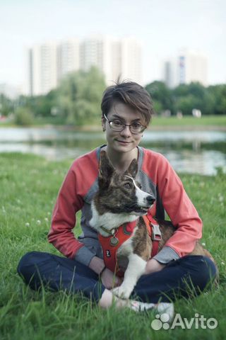 Репетитор по английскому языку Репетитор по английскому языку