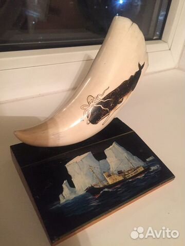 Антарктика 1970 год