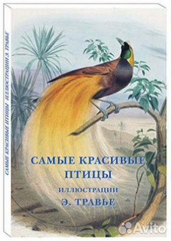 Открытки. Самые красивые птицы.Илл-ции Э.Травье