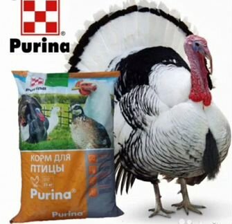 Комбикорм Пурина (Purina)
