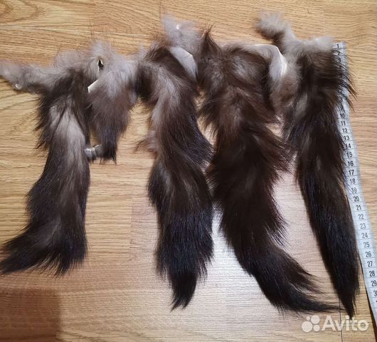 Хвост енотовидной собаки,куницы каменки 4 шт