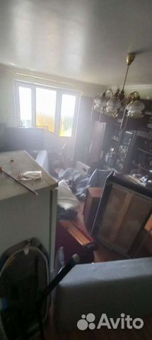 Уничтожение клопов тараканов борщевика плесени