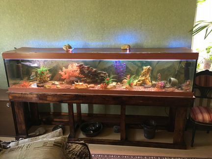 Аквариум босу в кабинет 520л равных нет