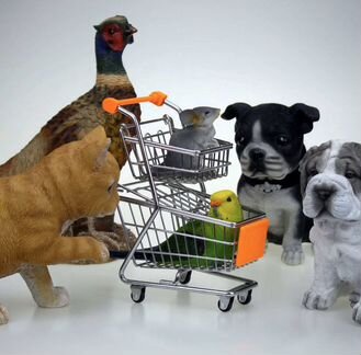 Продавец консультант