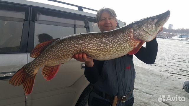 Рыбалка С гидом В новосибирске река Обь