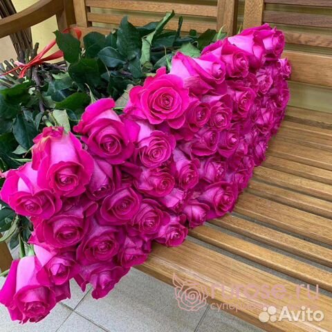 Розы Эквадор Пинк Флойд