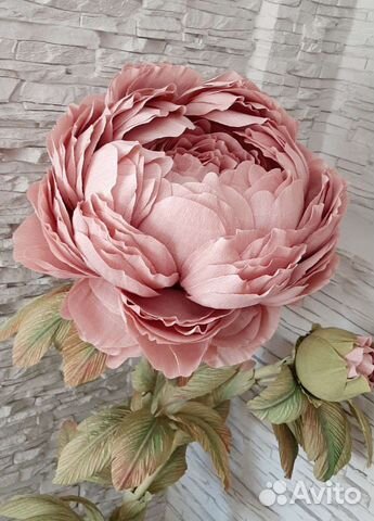 Цветок интерьерный