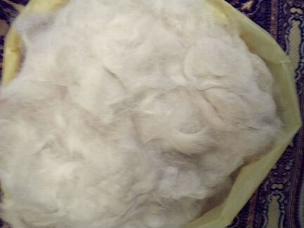 Шерсть собачья (пух)