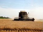 Зерно Пшеница Отп и Розницу 2022 года доставка объявление продам