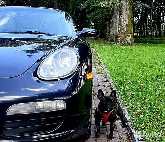 Прокат кабриолета Порше для фотосессий аренда