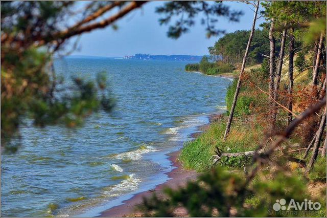 Экскурсия Куршская коса на авто индивидуальная