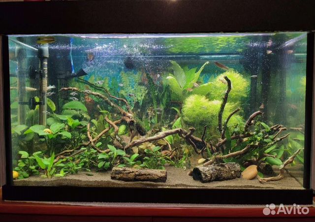 Обслуживание аквариумов