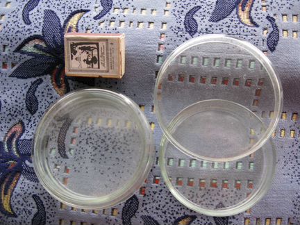 Чашка петри