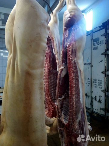 Мясо свинина