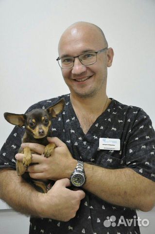 Ветеринар. Вызов ветеринарного врача на дом