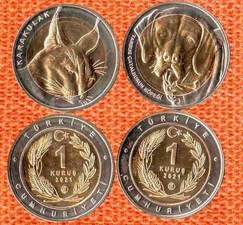 Красная книга Турции