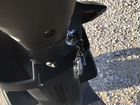 Скутер promax meteor NEW 200(50) объявление продам