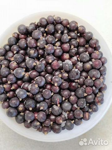 Черная смородина замороженная