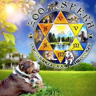 Зоогостиница Зоосфера