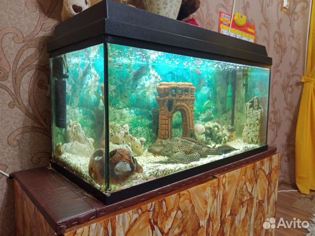 Аквариум украшения грунт и т,д