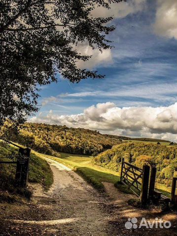 Картина по номерам новая