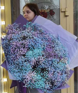 Радужная гипсофила гиганты