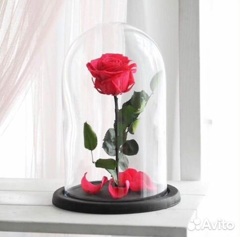 Роза в колбе. Любые размеры