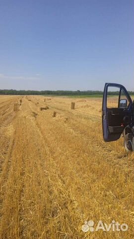 Сено солома в тюках