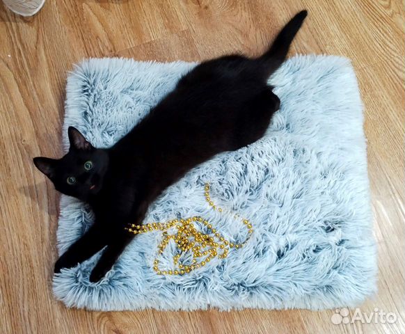 Лежанка для собак и кошек ортопедическая