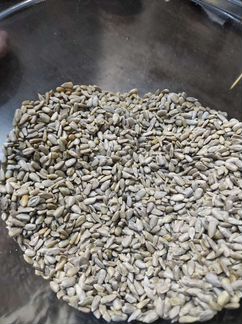 Ядра, жмых льна, подсолнечника