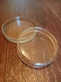 Чашка петри