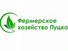 Программист 1C / ERP (Брянск) объявление продам