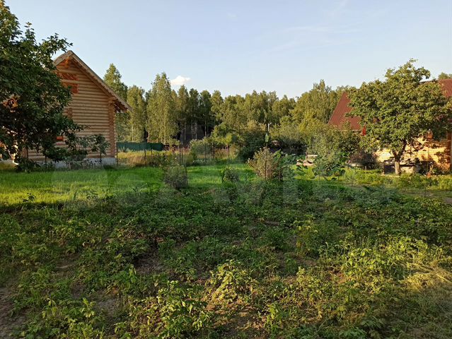 Снт сосновое. Снт сосновый бор петушинский. Деревня ветчи владимирская область. Снт луч владимирская область. Снт сосновый бор петушинский.