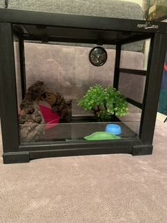 Террариум Repti Zoo