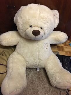 Медведи: белый и коричневый