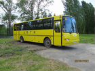Школьный автобус КАвЗ 4238