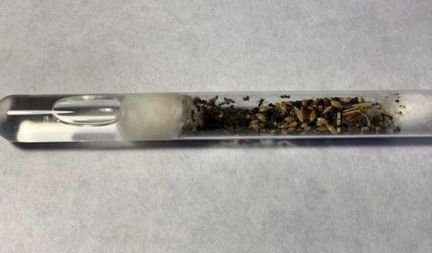 Муравьиная ферма