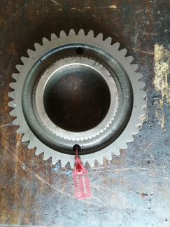 Шестерня ZF z31 1354304013