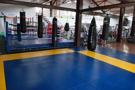 Боксерский ринг