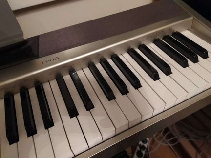 Цифровое пианино Casio Privia Px-120