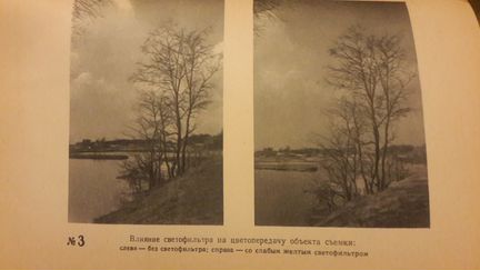 Фотография для школьника, 1956 год, Е.А.Иофис