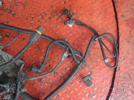 Электропроводка двигателя ман тгс 51254136090