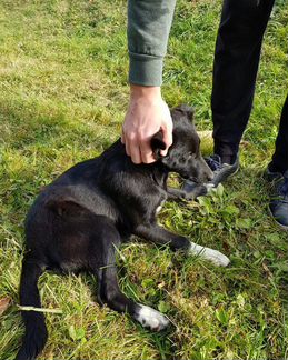 Девочка, 5 месяцев, доставка