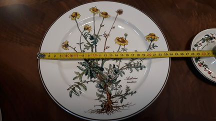 Тарелки из сервиза Ботаника Villeroy&Boch