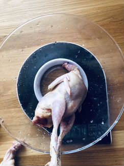 Мясо перепелов