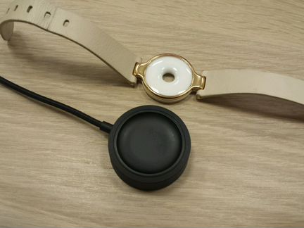 Xiaomi amazfit